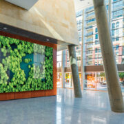 Large business atrium art feature with HD displays that attract visitors’ attention