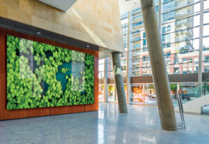 Large business atrium art feature with HD displays that attract visitors’ attention
